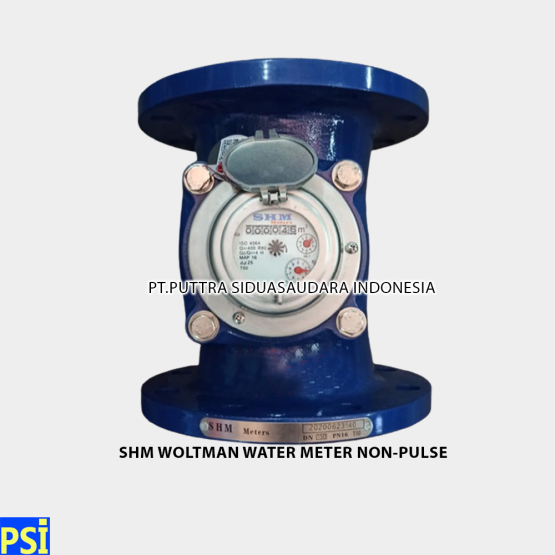 SHM WOLTMAN FLOW METERS Non Pulse Water Meter