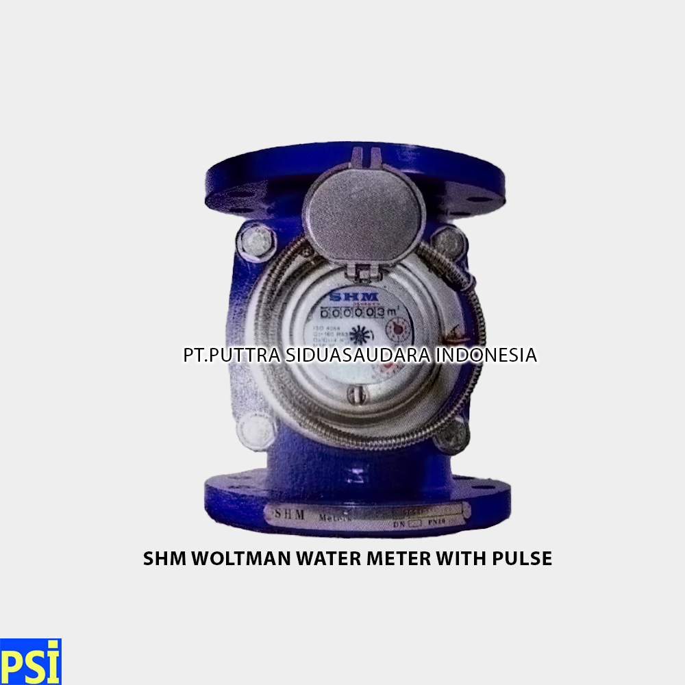 SHM WOLTMAN FLOW METERS With Pulse