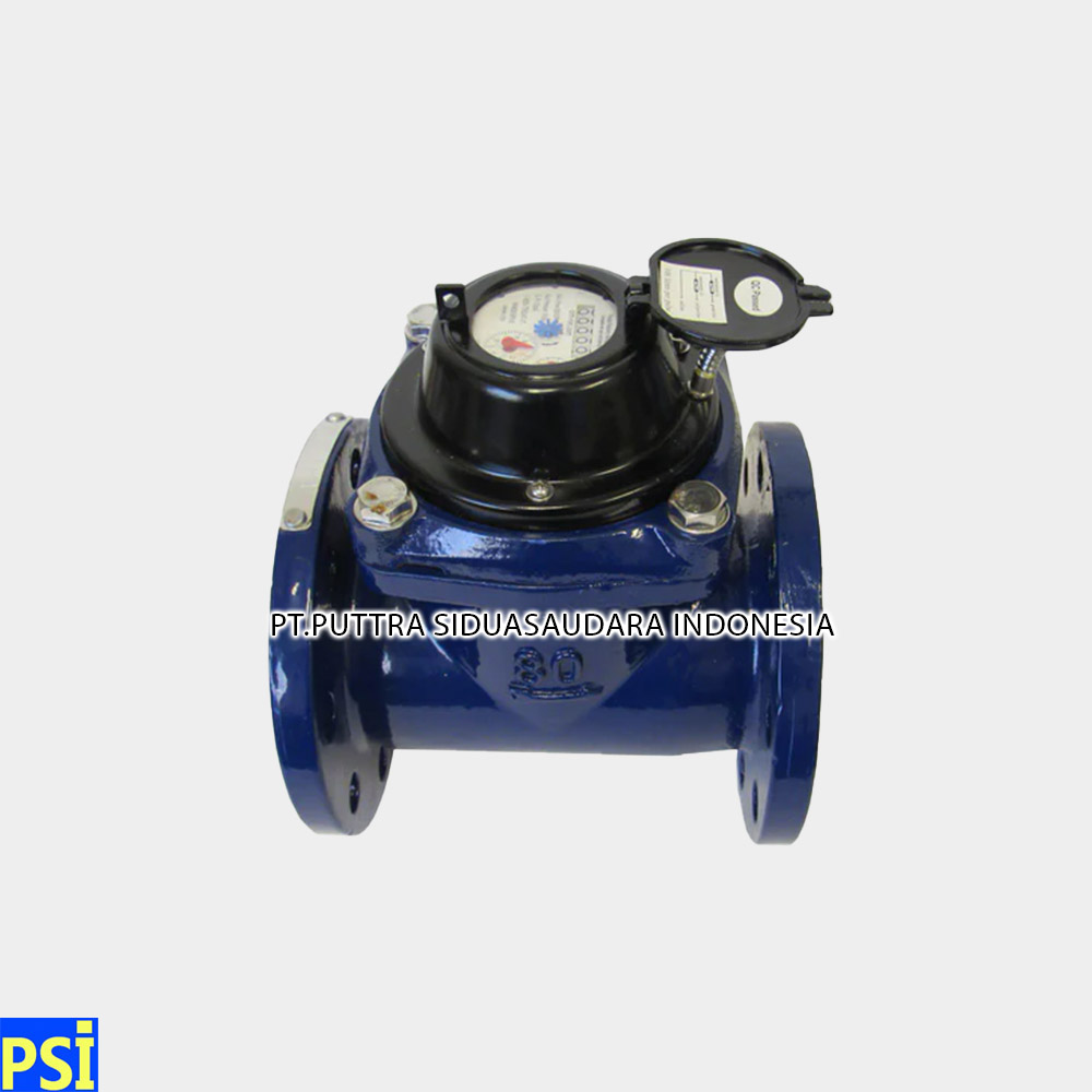 AMICO WATER METER Type LXLG-80E (3 INCH)