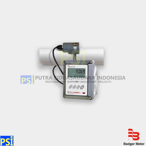 Badger Meter DYNASONICS DFX Ultrasonic Flowmeter