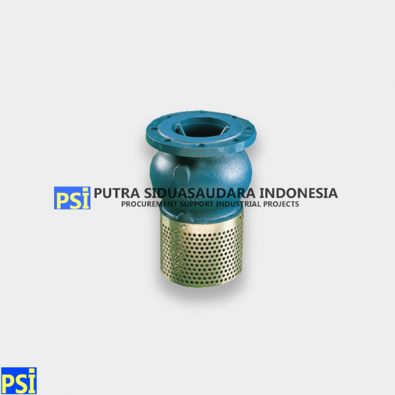 SOCLA Guided Check Valves Type 302