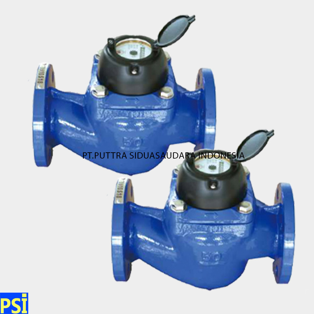 WATER METER CALIBRATE TYPE WS 3 INCH (DN80)