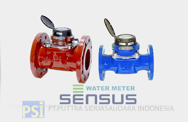Water Meter Sensus
